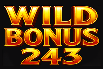 picture of Wild Bonus 243