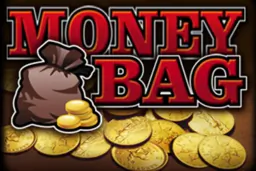picture of Money Bag